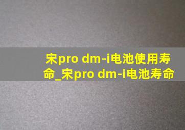 宋pro dm-i电池使用寿命_宋pro dm-i电池寿命